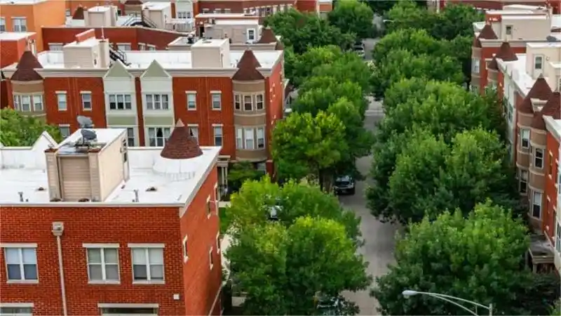 Renting Tips